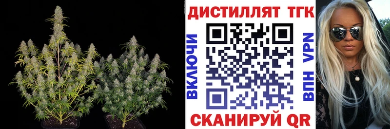как найти наркотики  Советская Гавань  мега как зайти  ТГК жижа 
